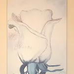 Helvetia Maison d'hôtes 3*