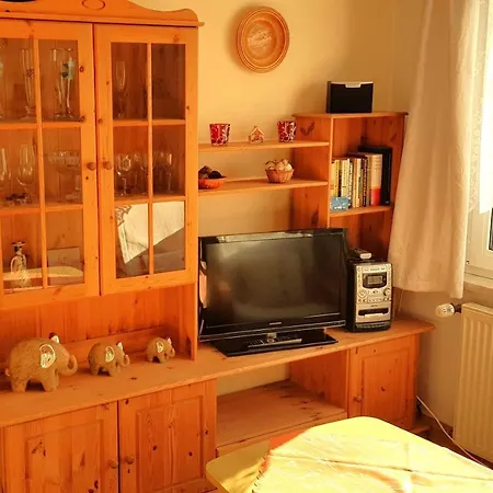 Villa Helvetia Guest house Bad Elster