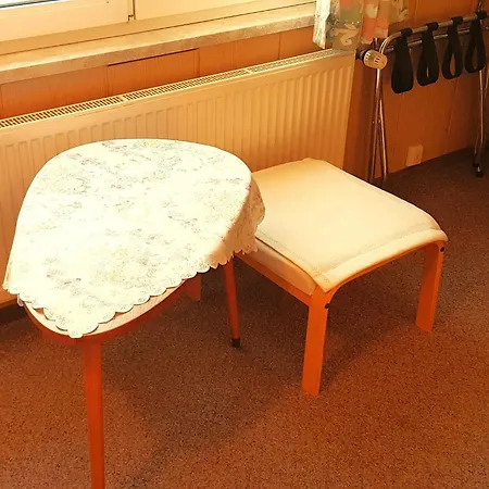 Villa Helvetia Guest house Bad Elster