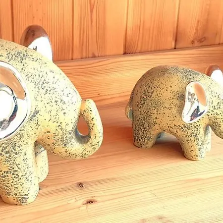 ゲストハウス Helvetia