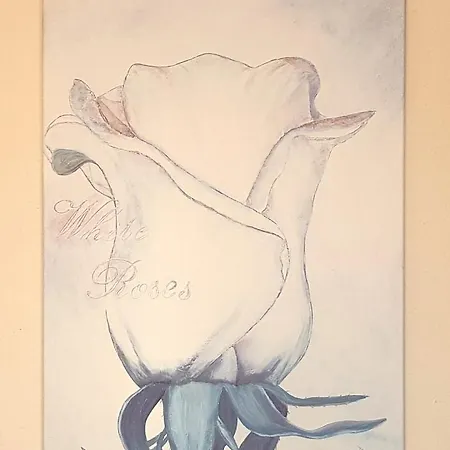 Helvetia ゲストハウス 3*