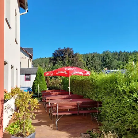 Villa Helvetia Guest house Bad Elster