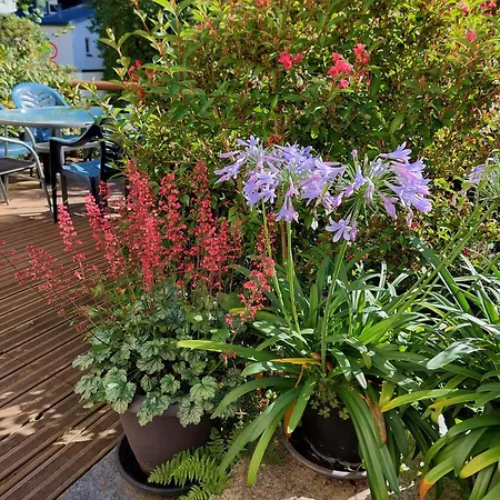 Helvetia ゲストハウス 3*