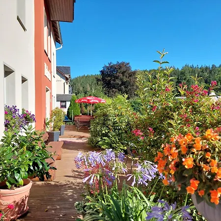 Guest house Villa Helvetia