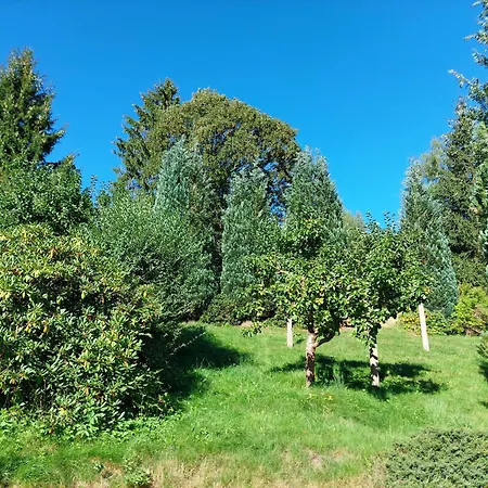 ゲストハウス Helvetia